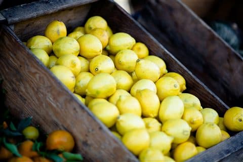 Lemons Primofiori