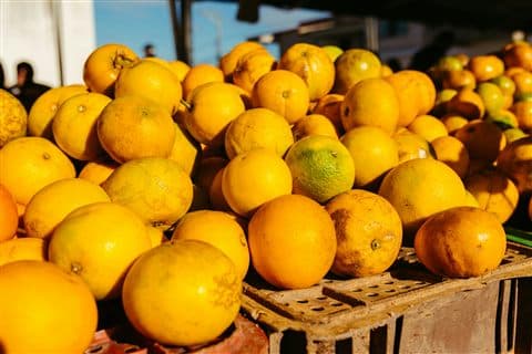 Oranges Valencia